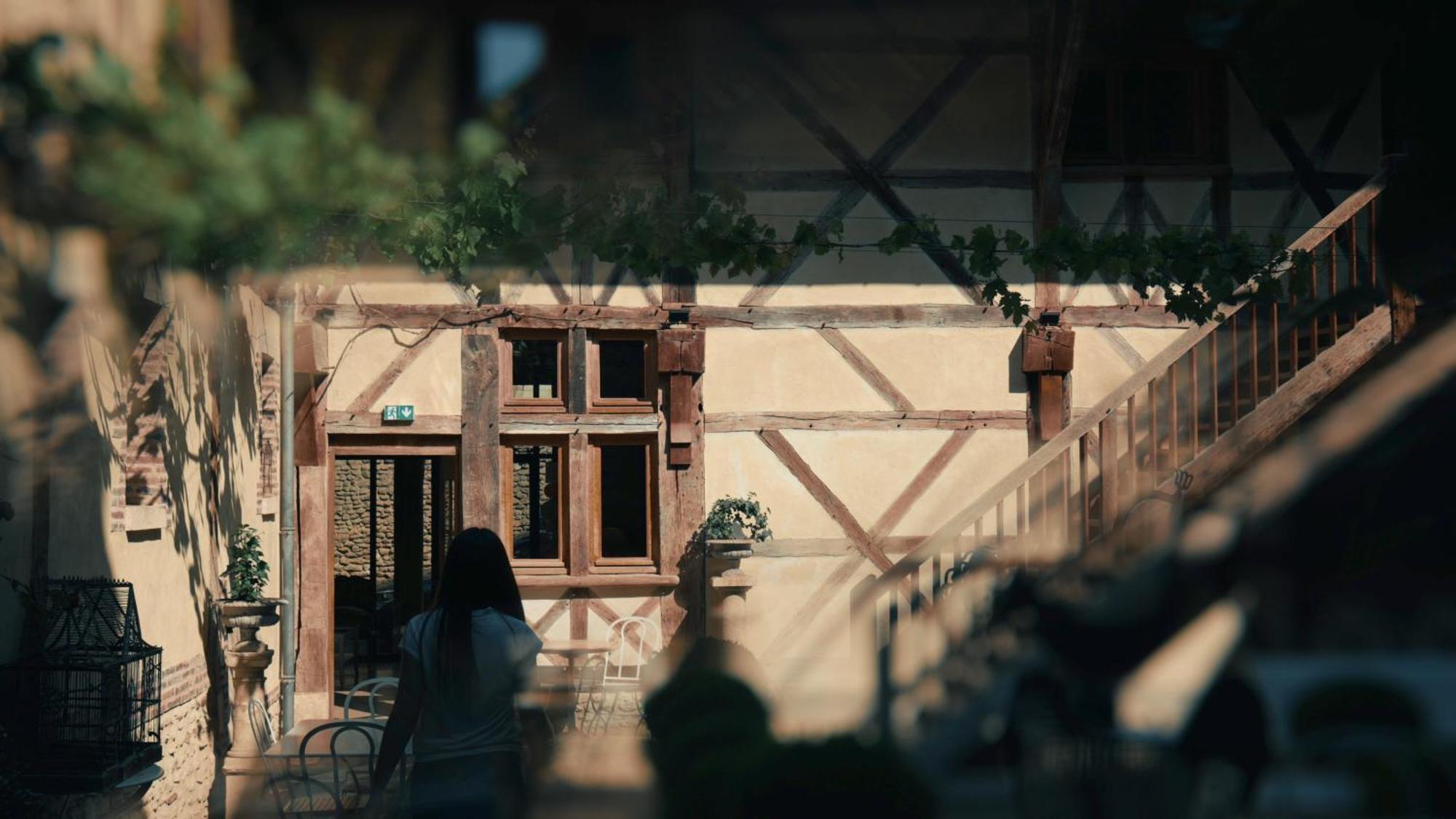 Le Champ Des Oiseaux Hotel & Spa Troyes Buitenkant foto